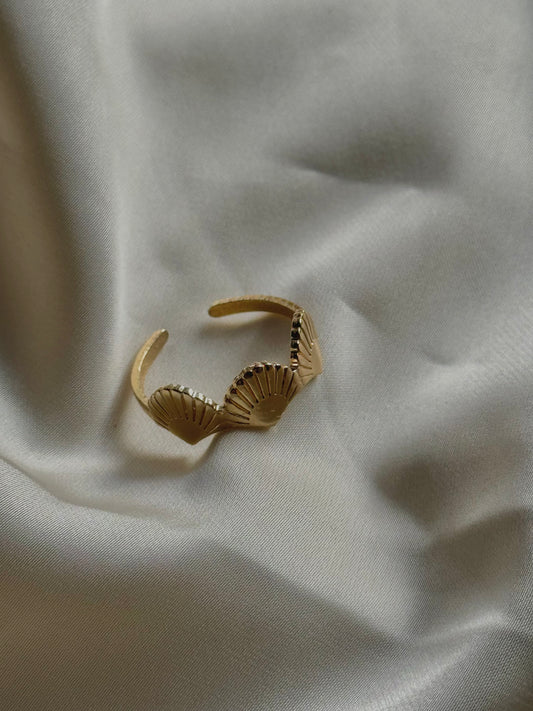 Scallop shell ring